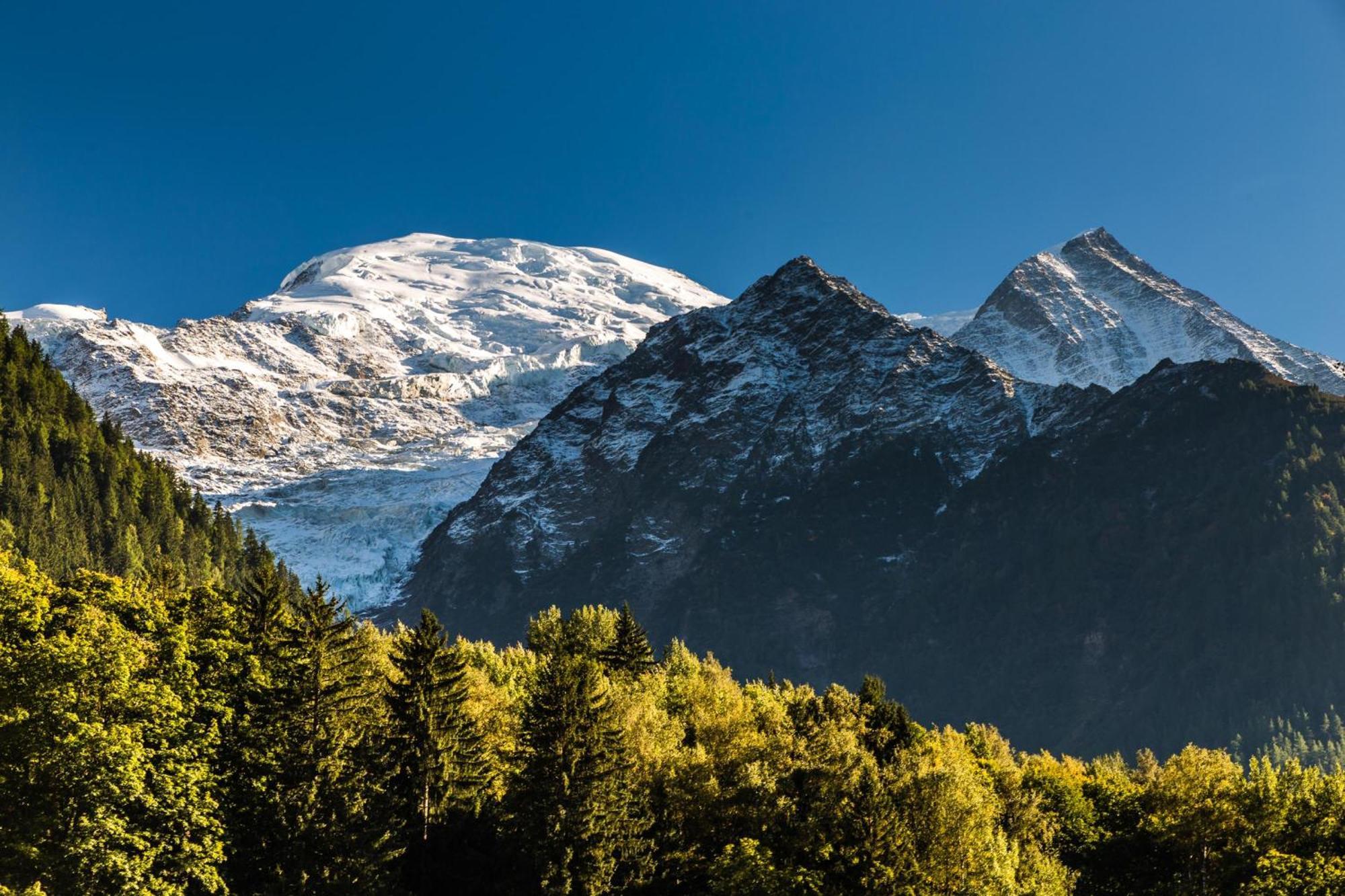 Apartment Full Nature - Les Praz - Happy Chamonix