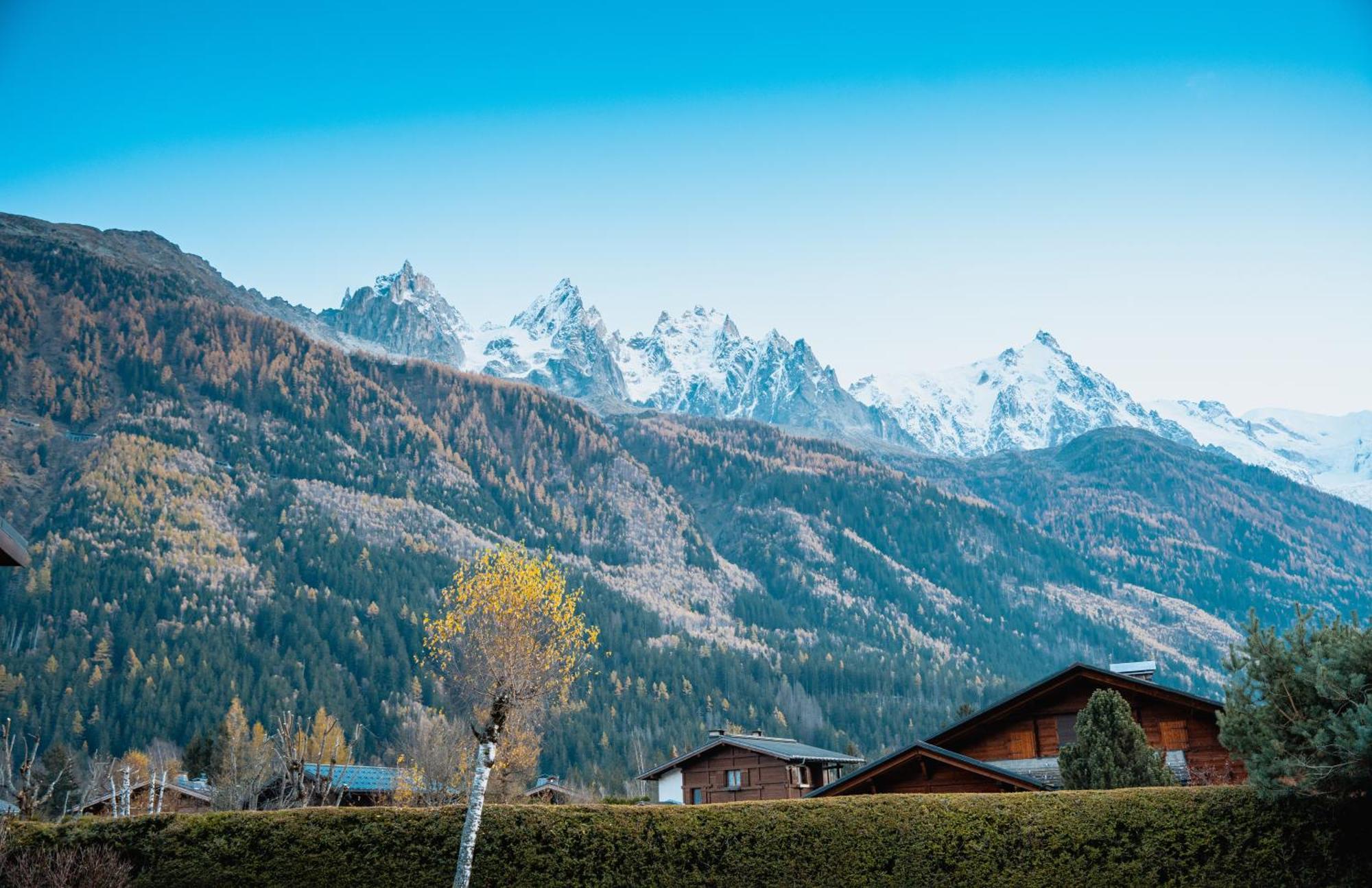 Apartment La Pagode, Vue Mont-blanc Et Jardin Prive