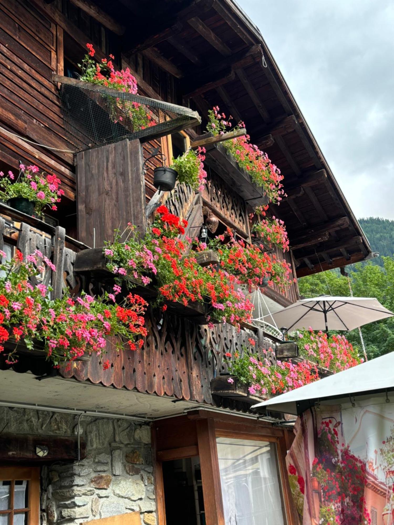 La Montagne Hostel
