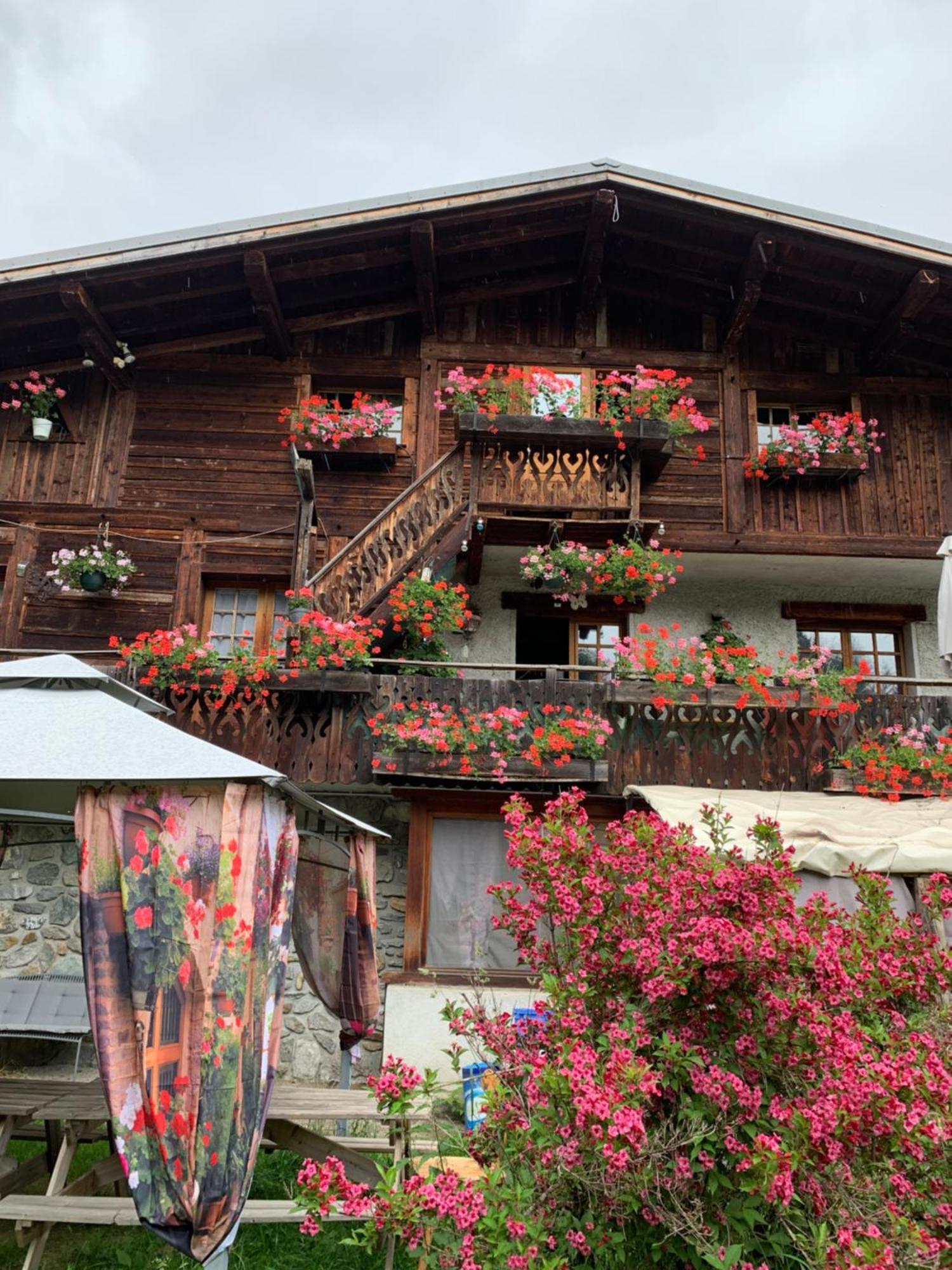 La Montagne Hostel Chamonix