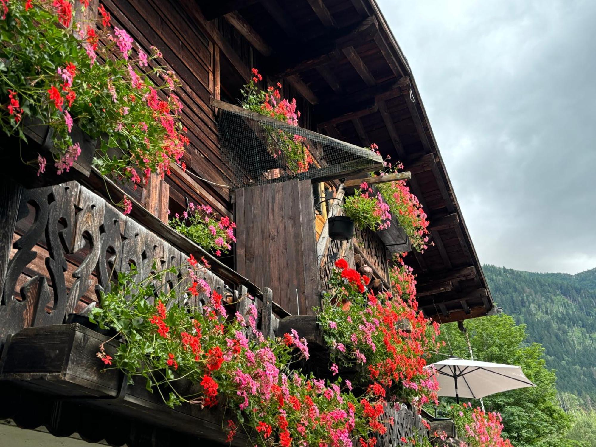 Hostel La Montagne