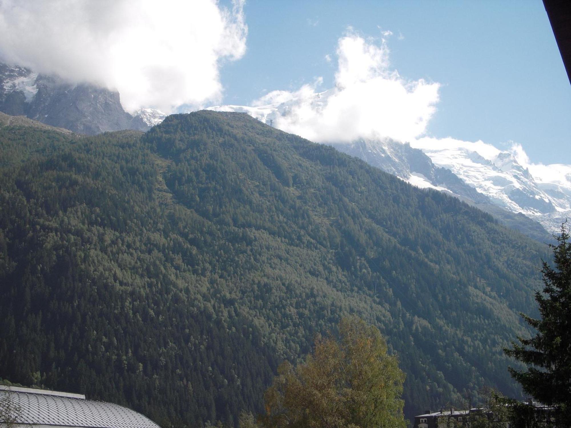 Cosy Avec Vue Mont-blanc, Parking, Animaux Acceptes - Fr-1-517-26 Apartment