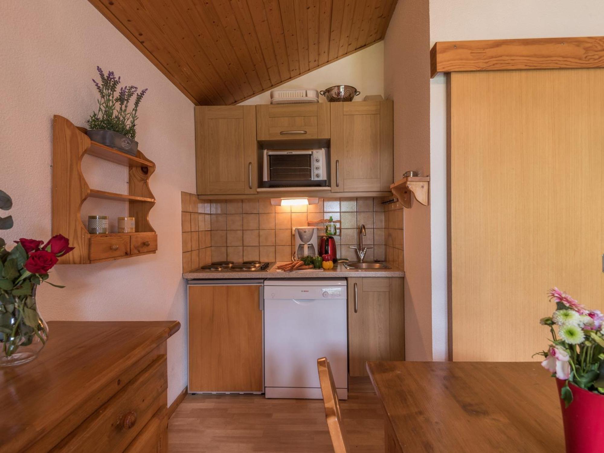 Cosy Avec Vue Mont-blanc, Parking, Animaux Acceptes - Fr-1-517-26 Apartment