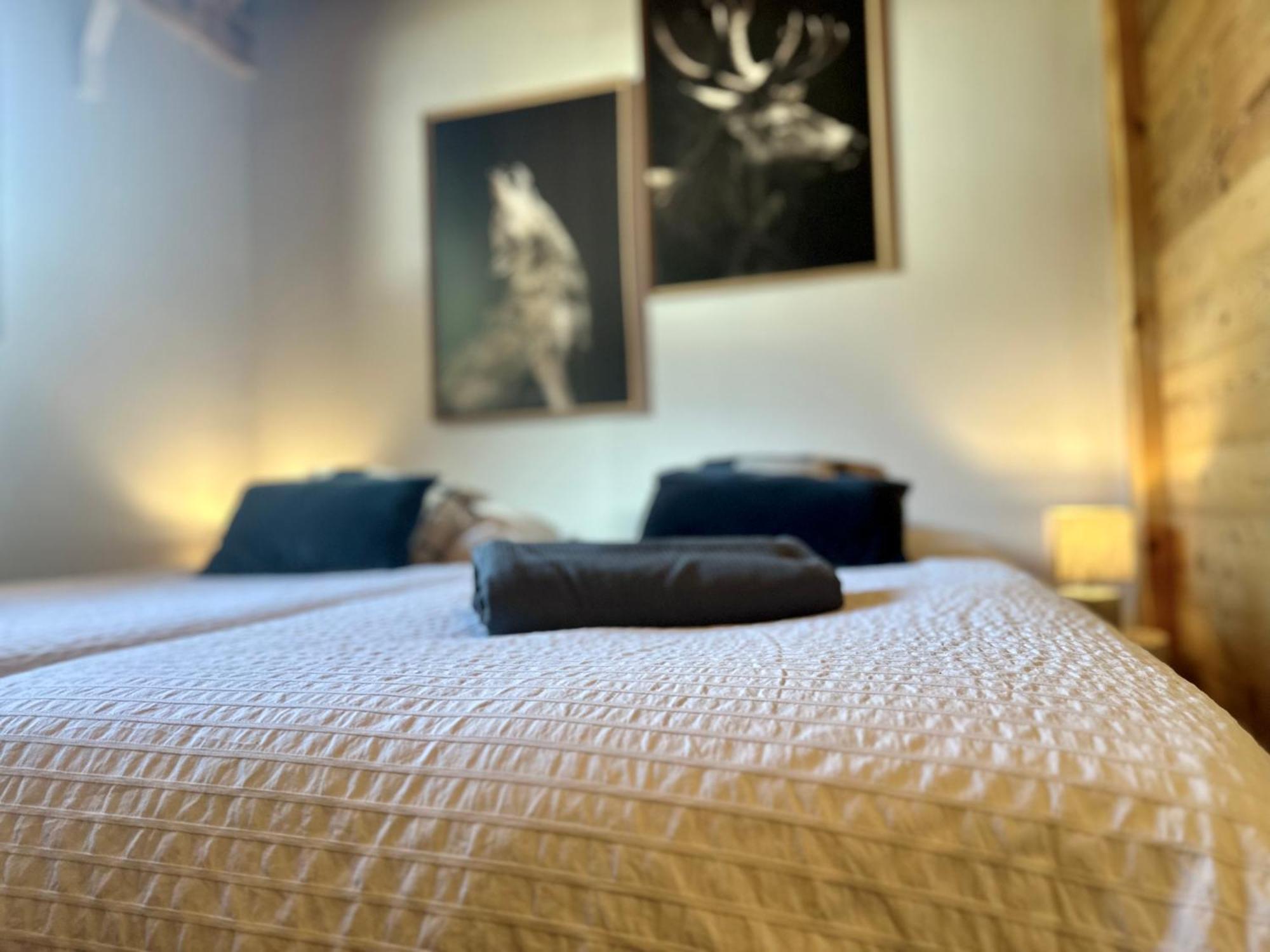 Le Petit Nicolas, Jacuzzi, Vue Mont Blanc Chalet *