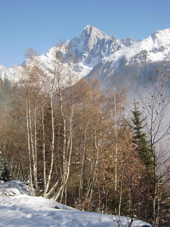 Apartment Studio Mont-blanc *