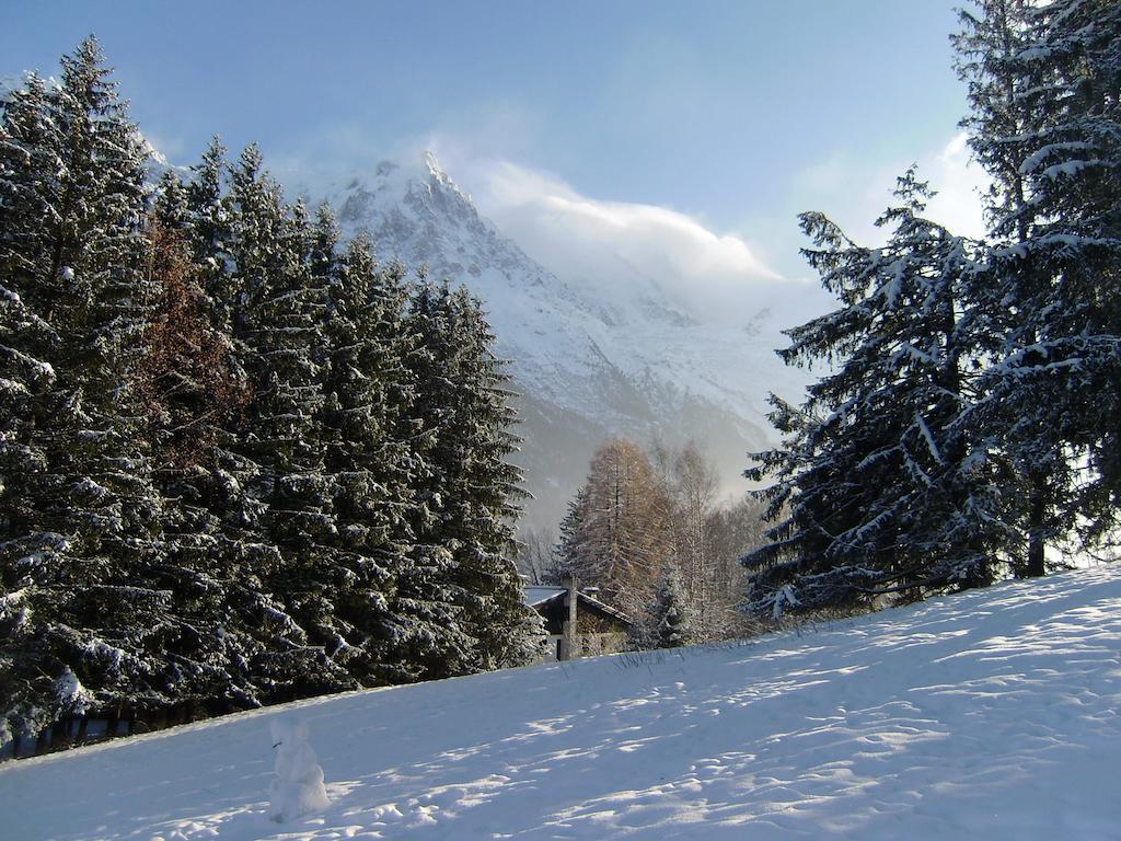 Apartment Studio Mont-blanc