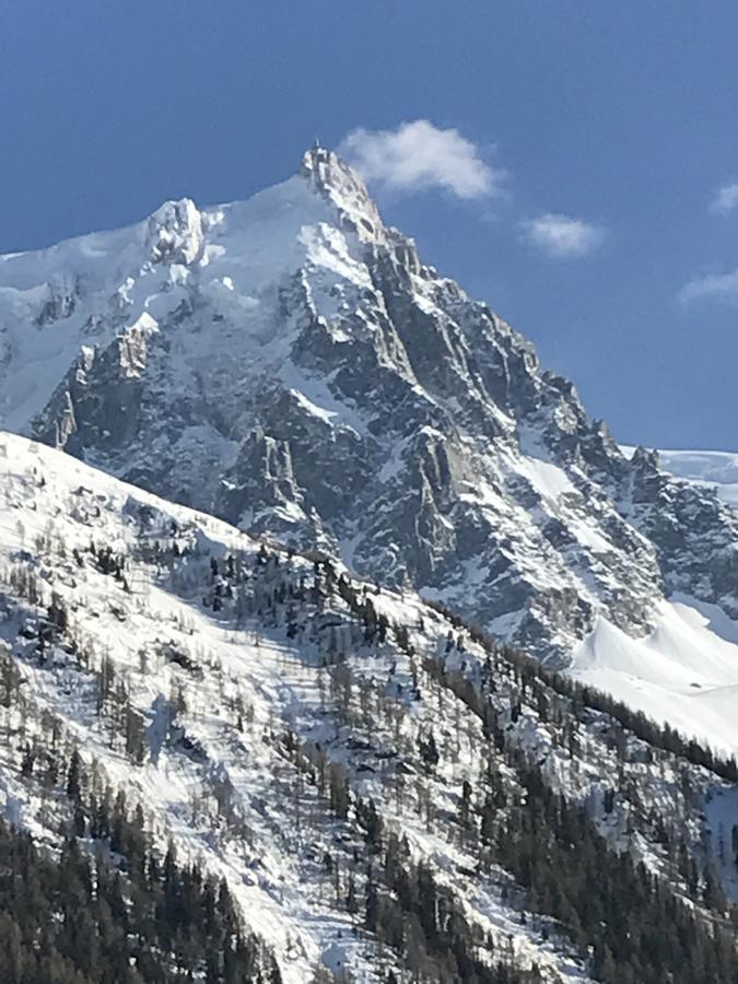 Aparthotel Aiguille Verte&spa Chamonix