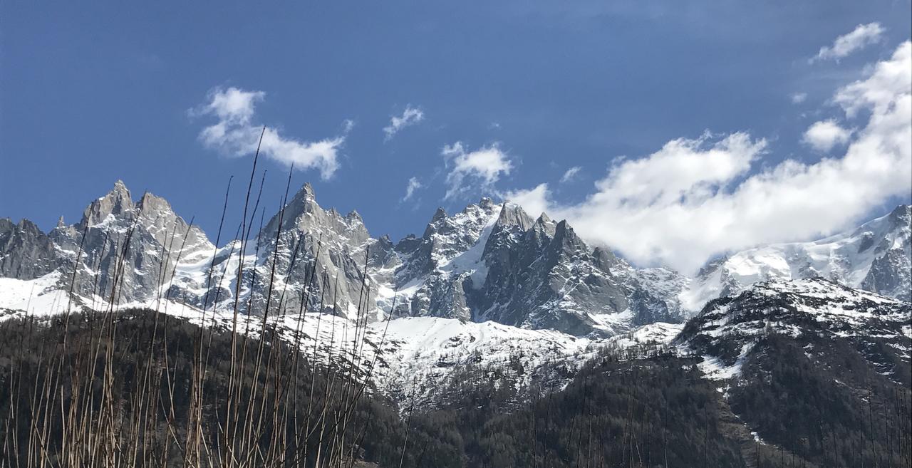 Aiguille Verte&spa Aparthotel