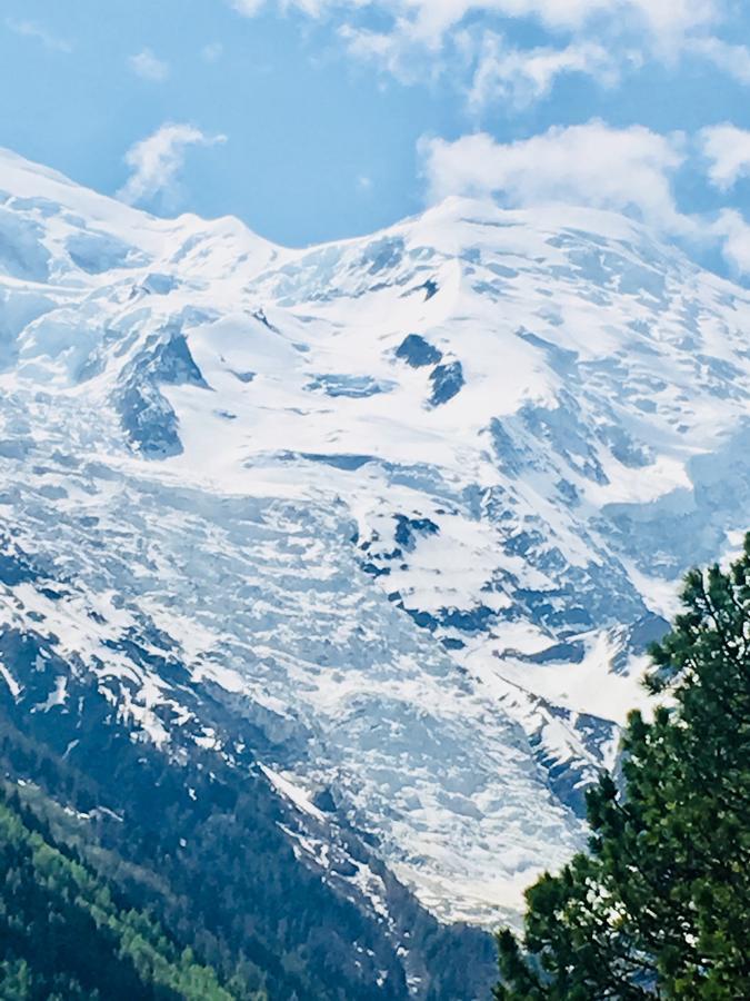 Aiguille Verte&spa Aparthotel 3*