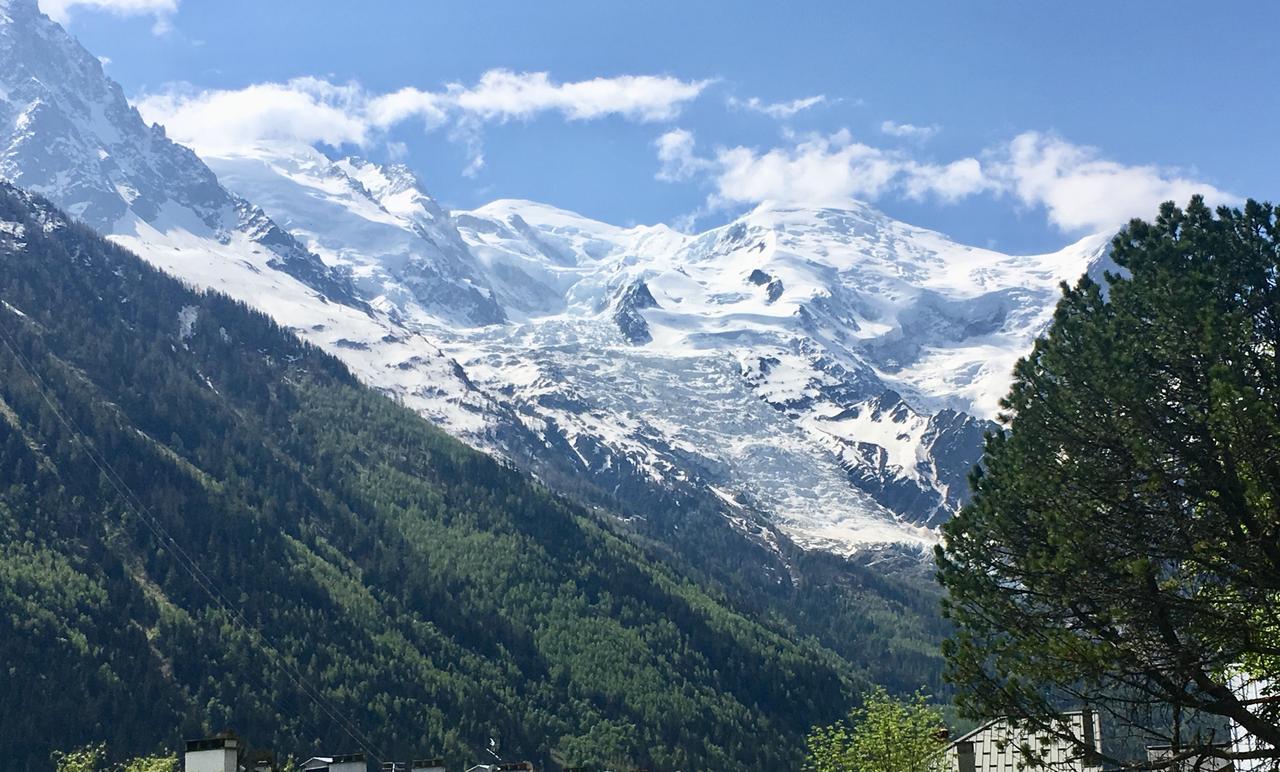 Aiguille Verte&spa