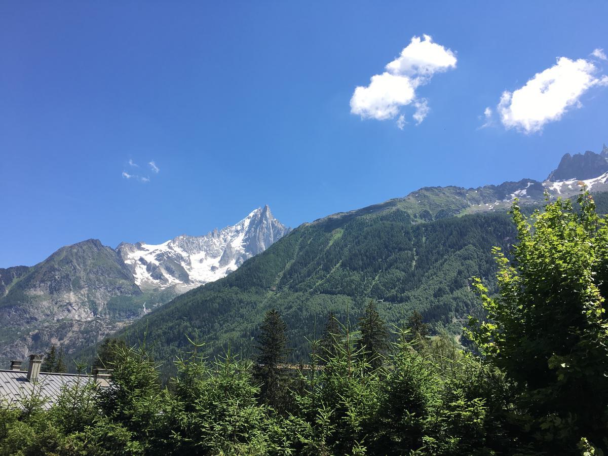Aparthotel Aiguille Verte&spa 3*