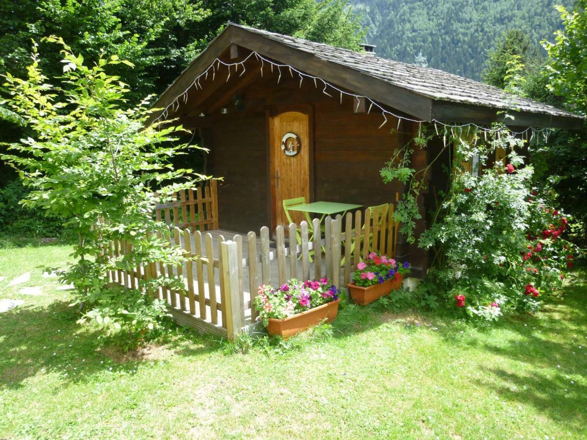 Alpine Rose *
