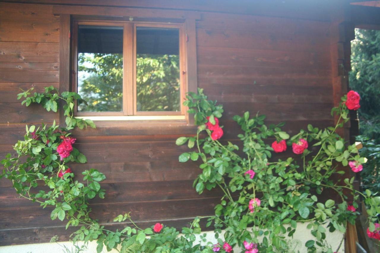 Alpine Rose * Chamonix