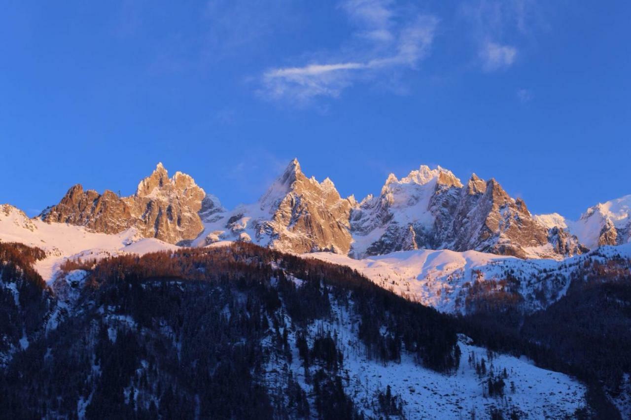 Grand Appt Vue Mont Blanc Appartement