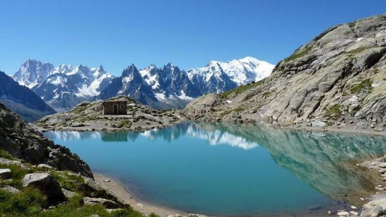 Chamois Blanc Chamonix
