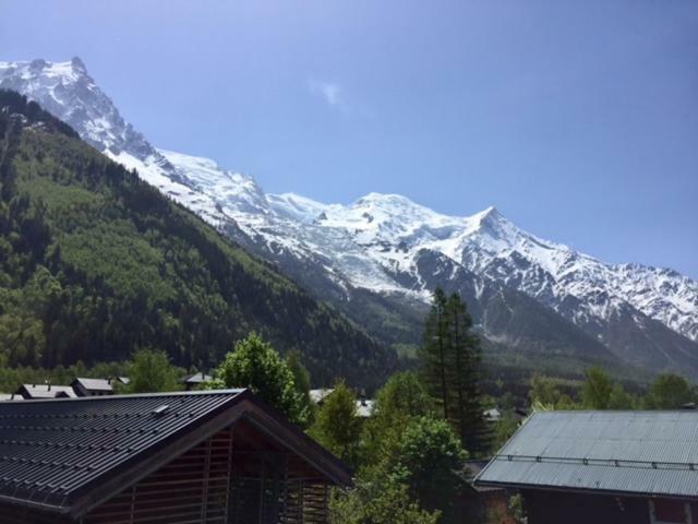 Chamois Blanc Chamonix