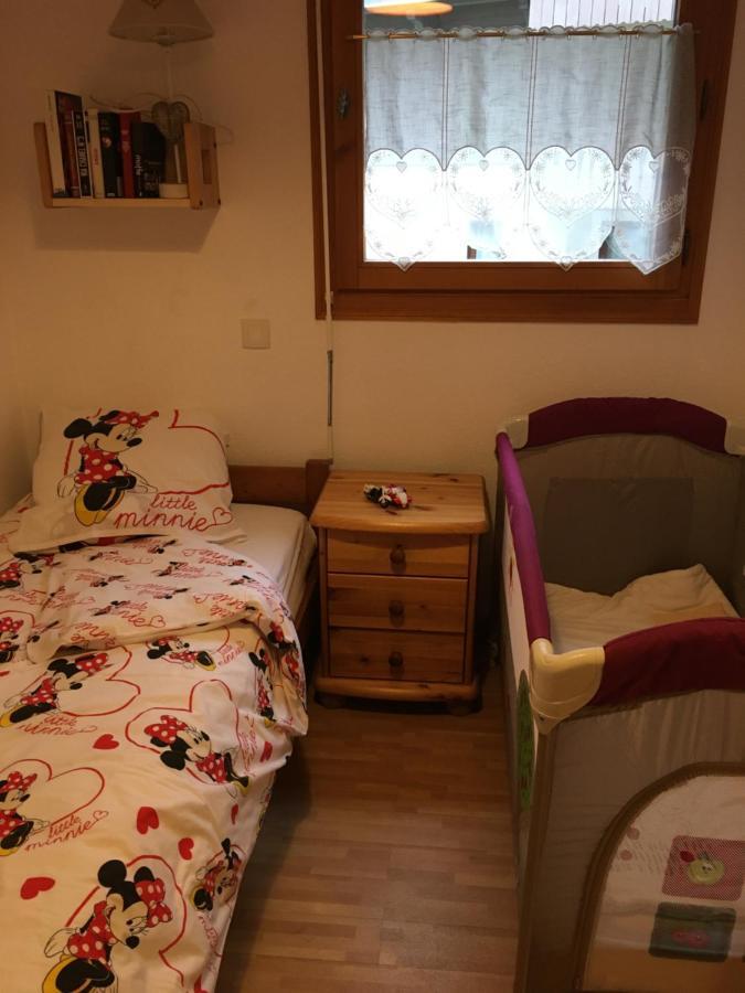 Avec Garage Centre Apartment
