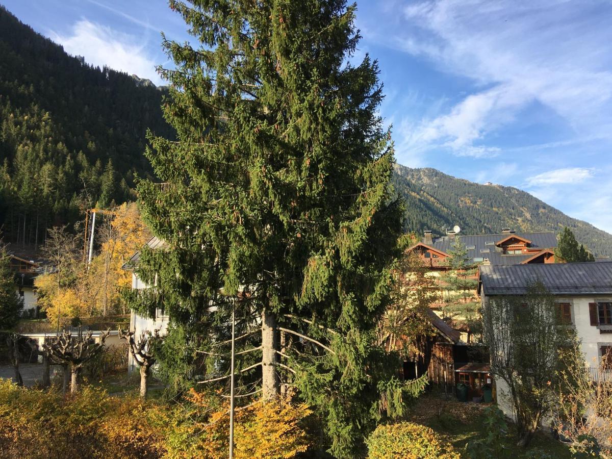 Aster Apartment Chamonix