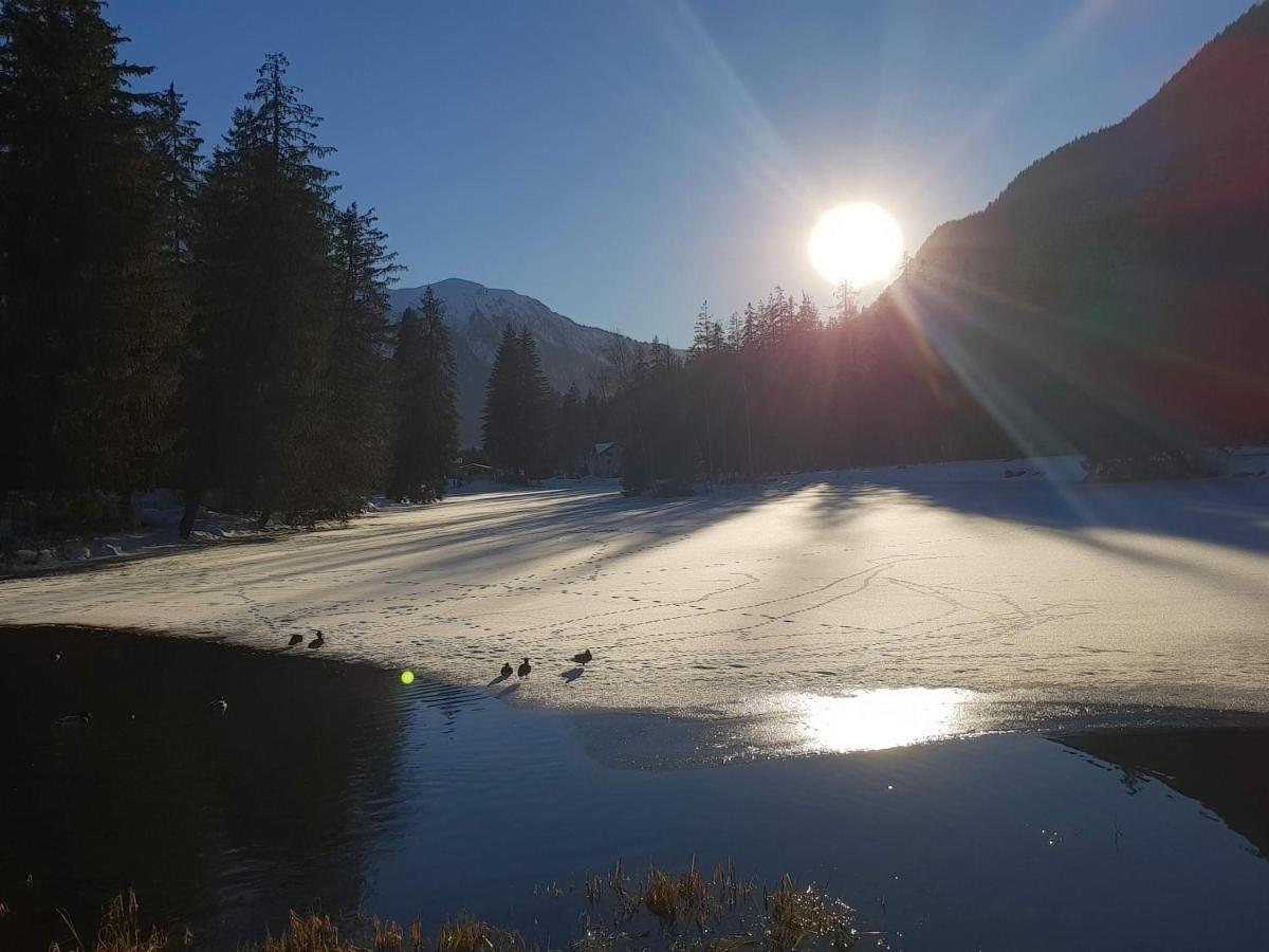 Alpenrose *