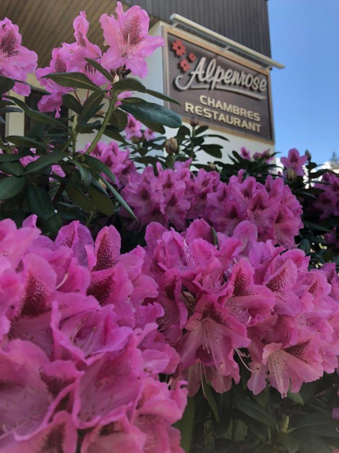Hostel Alpenrose