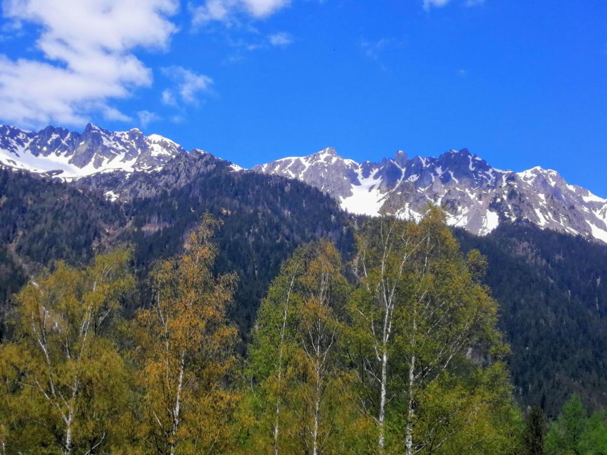 Le Chamoniard Volant