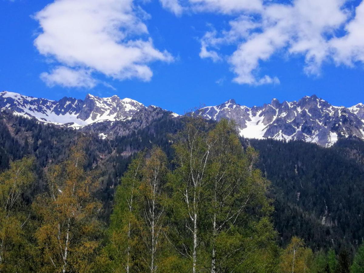 Le Chamoniard Volant
