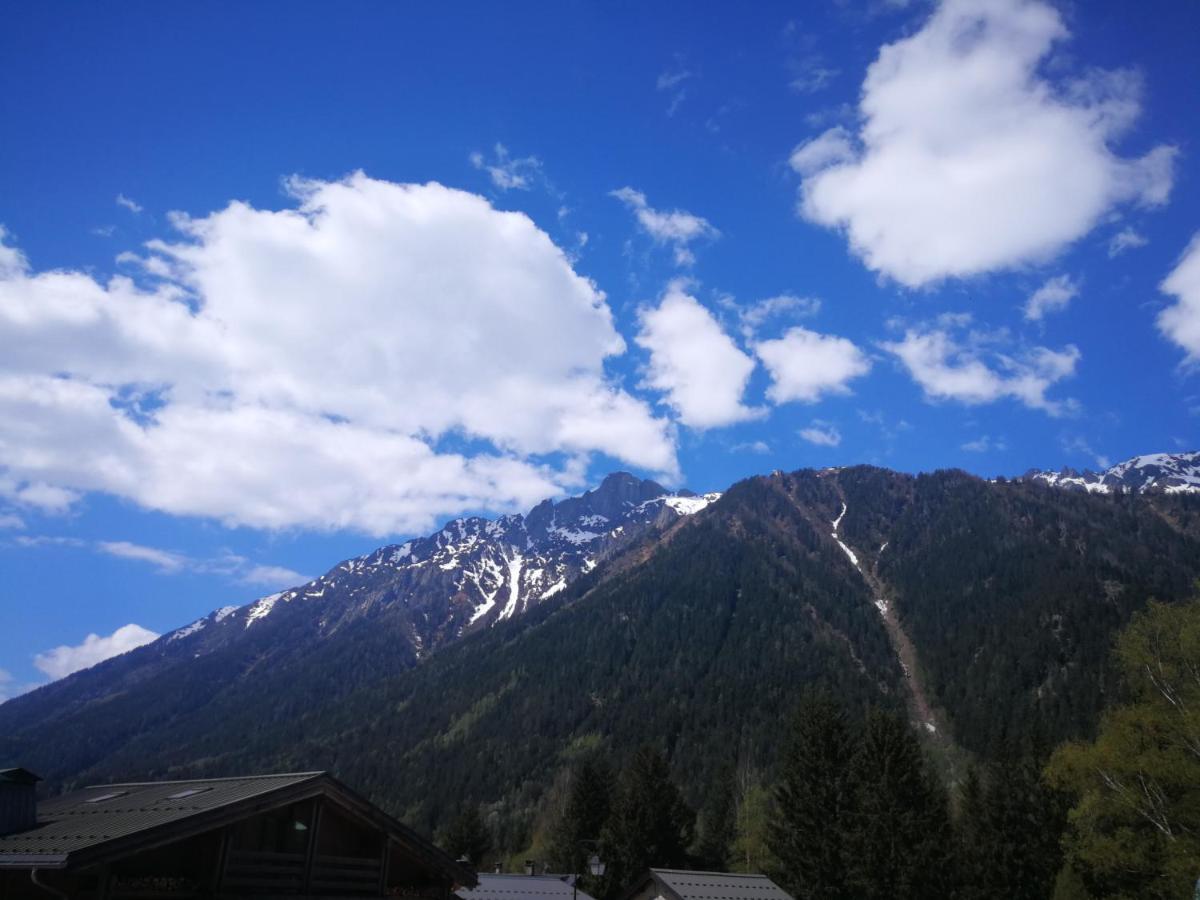 Le Chamoniard Volant